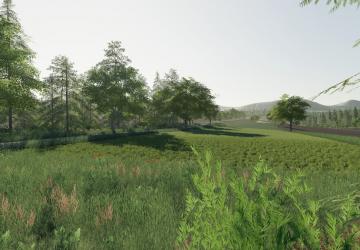 Карта «Delusion» версия 1.0.0.0 для Farming Simulator 2019